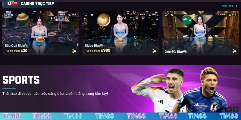 Đánh giá mức độ uy tín của TIM88 qua giai đoạn hình thành