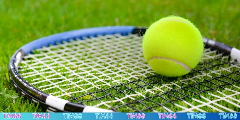Quần vợt - Bộ môn thể thao được bet thủ yêu thích 