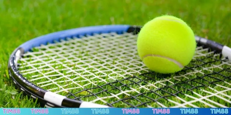 Quần vợt - Bộ môn thể thao được bet thủ yêu thích