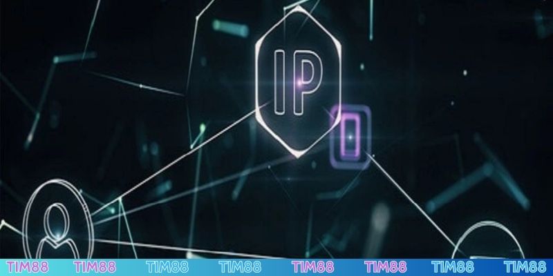 Thay đổi DNS - Cách fake IP TIM88 hiệu quả