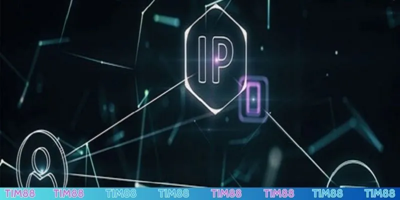 Thay đổi DNS - Cách fake IP TIM88 hiệu quả