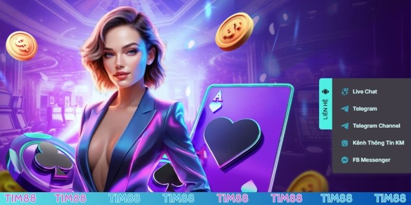 Các hình thức liên hệ TIM88 cho newbie