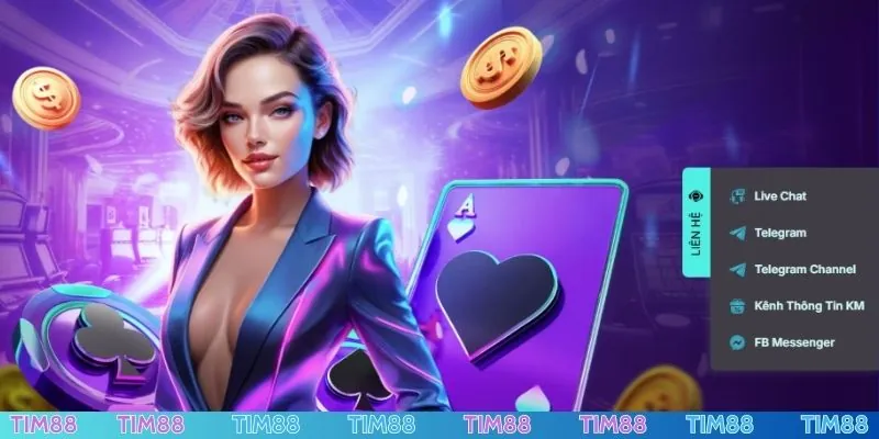 Các hình thức liên hệ TIM88 cho newbie