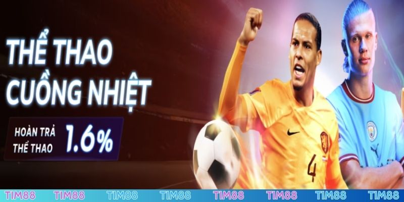 Nền tảng mong muốn xây dựng một môi trường lý tưởng