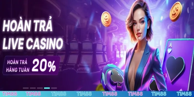 Rủi ro cần nhớ khi đăng ký/đăng nhập TIM88